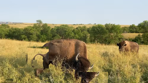 Item #105089968166921690156624725616502706642431777719922472152070405767842267922433 Media