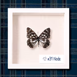 #31 Node
