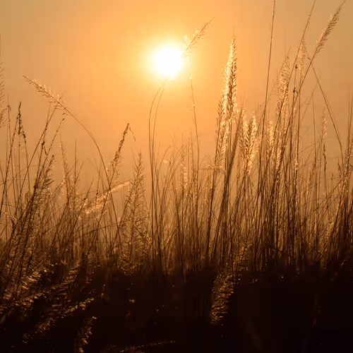 Untitled Collection #246169466 - old