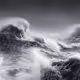 The Wave