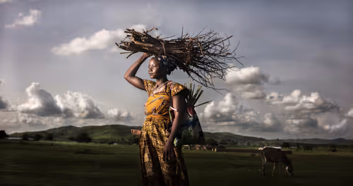 Item #21018655333015772418941296844921796816723051923956967739323501684417626113 Media