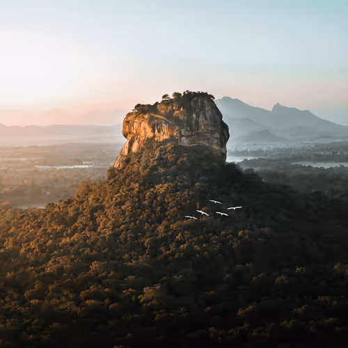 danielberndt Collection