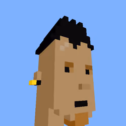 PunkVoxels #8332