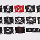 Flags of famous pirates