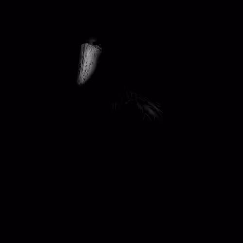 47kb Photograph