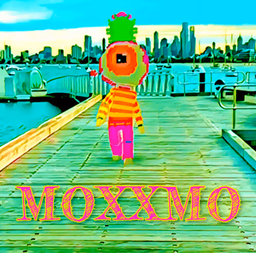 Where is moxxmo?