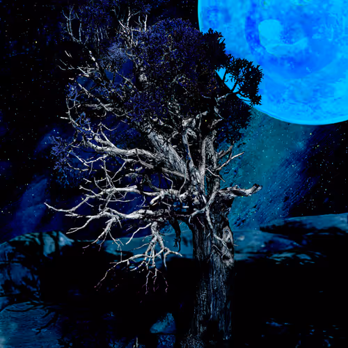 Anonymous69er Collection - old