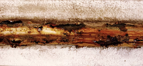 Item #106724480225674234207905183148312565268453477857390453009567810409037599604737 Media