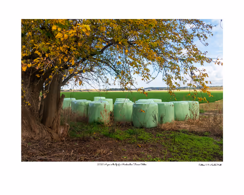 Item #24600310660482288606297797528155087939323639147399647196853483702912934739969 Media