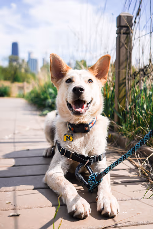 Item #93545033271846001454118804230311667247513649279000342993662872575991598809089 Media