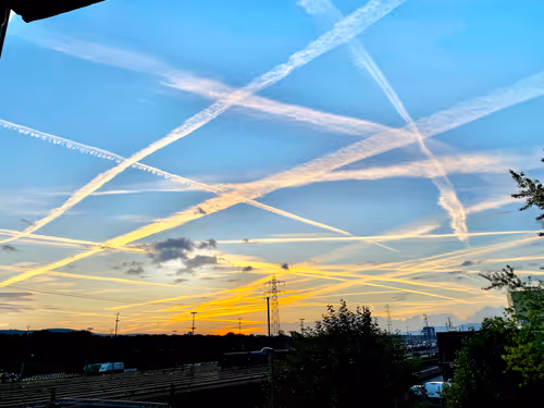 Item #93706146178462887536809750804875348618022552063055564791417068582893181206529 Media