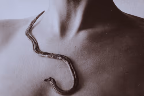 Item #98428321781240690923166413788572359424135882967629447034847431456075223662593 Media