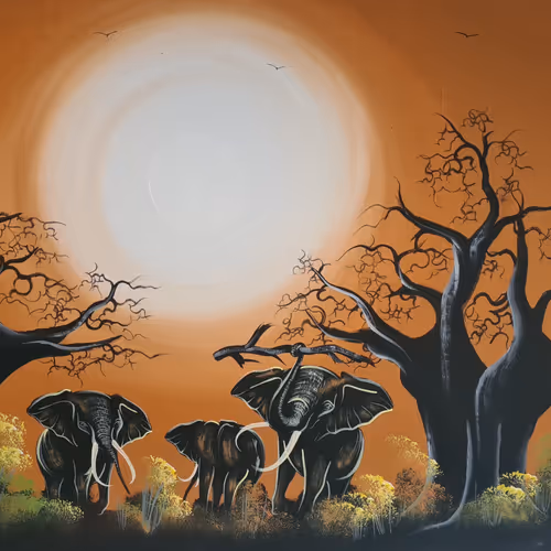 SimplicityofNature Collection