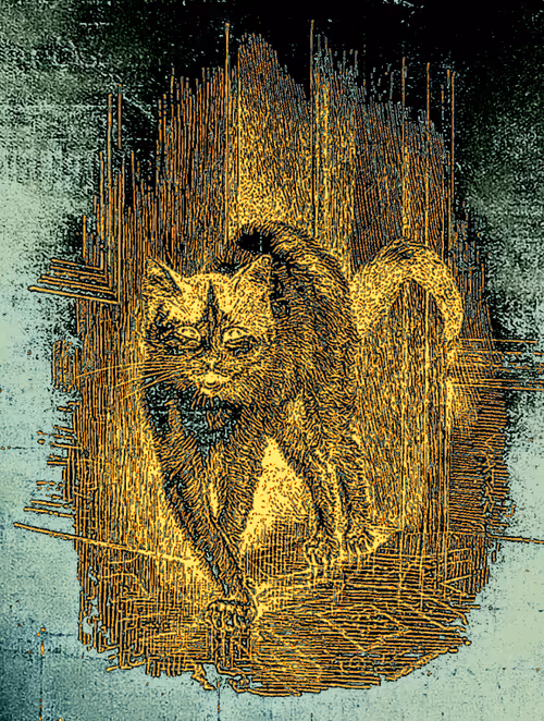 Item #35247308013863639916483757756408588227786114589757564733366544648506190069790 Media