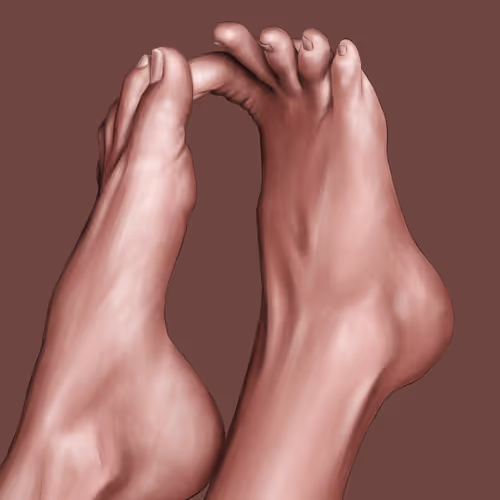 The Study Of Feet