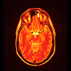 64162533542198579898252916190583583845604629893829087458582976338429273440257