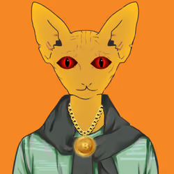 Sphynx #163