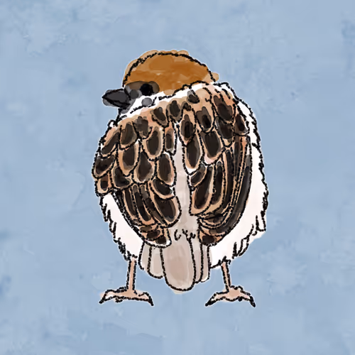 Item #66864591556007262573719694230904401261970940183926238908367936785121437286401 Media