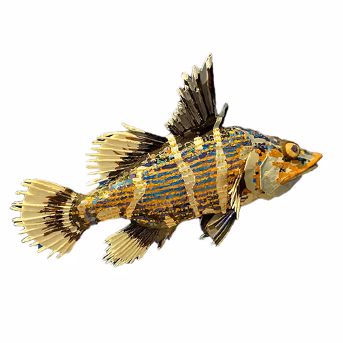 Item #9229184775601453528234625013194060345910383497059709964001987440526739111946 Media