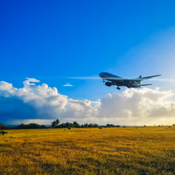 #15 Low Flying Aircraft