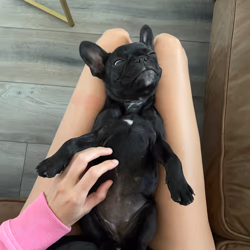 Caitlinleigh777 Collection