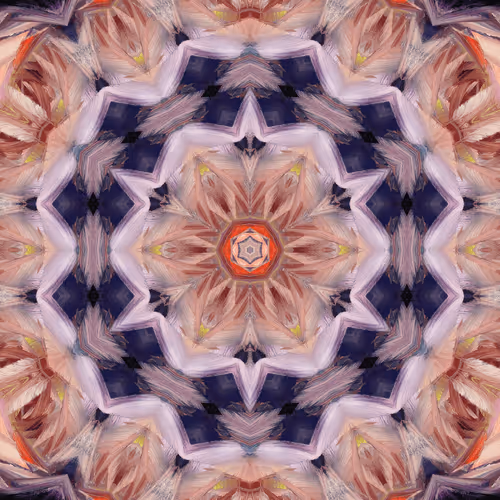 Item #68926149186134342892429898681651910528467495506184414078323304748821883387905 Media