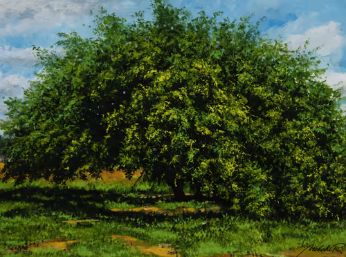 Item #110029838572198662821673087368431480016956825603177729317162674713939310280705 Media