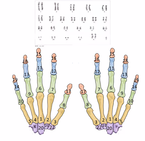 Item #67457553150443021914092587022250176347061355639032054621716075887098886881281 Media