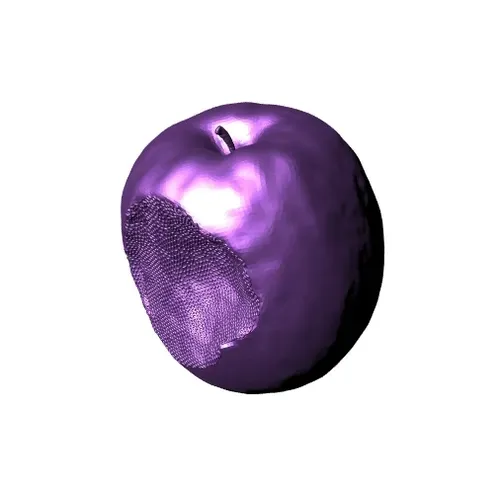 Item #24041598381426201449299921488185008517750996468726320823863715314742100754433 Media