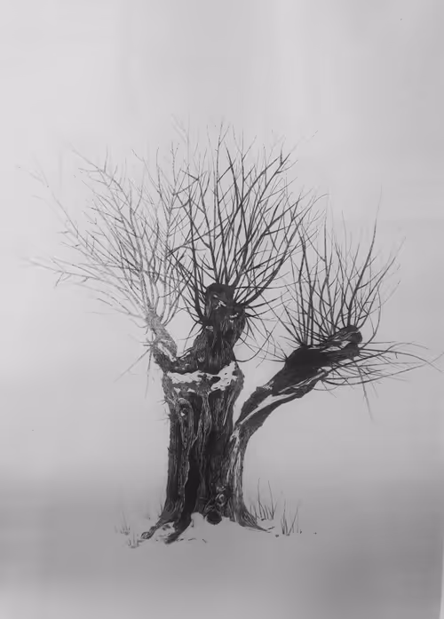 Item #46787998641364731627679955056960783733233035311239644218591245367124911194113 Media