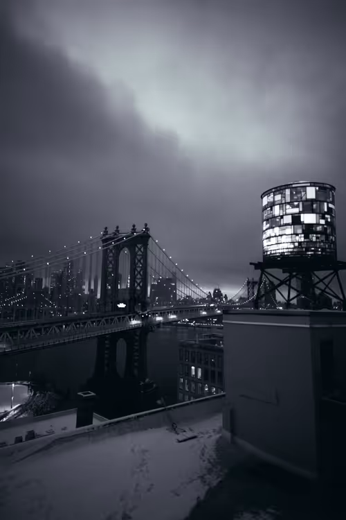 Item #33042120889451854685272695172442478807155240332106701713195592491397864751105 Media