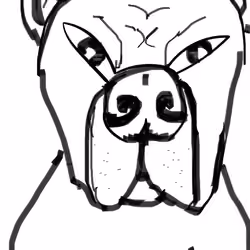 Dog #1