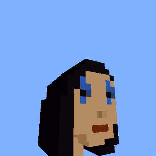 PunkVoxels #0888