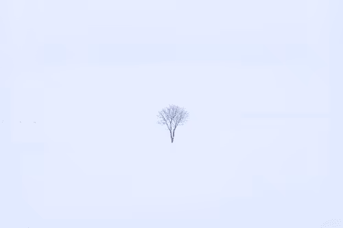 Item #82038507178112004707132471695972498506825775528903589266831690710655692701697 Media