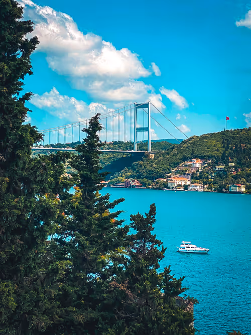 Item #95382725918874285535027604357045013041856008434590126072415749271375379955713 Media