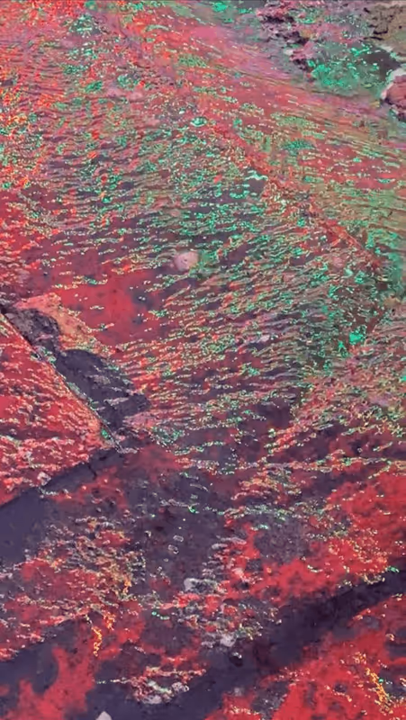 Item #62402000334580523921237358418718502457721815832787791947048085103481574129665 Media