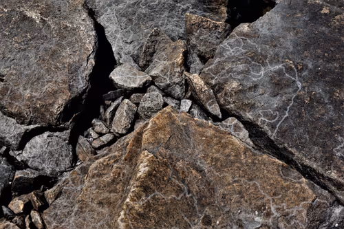 Item #68800123458035658143408460056219206378254568321398204671677932987759540043777 Media