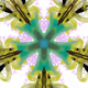 112925403411694348649951485326266456548234770048770183151665190934506140336129