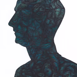 Bonobo