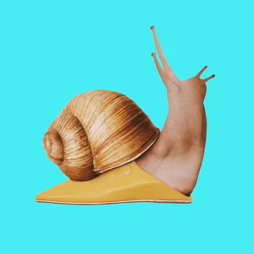 the morrocan Snail 
