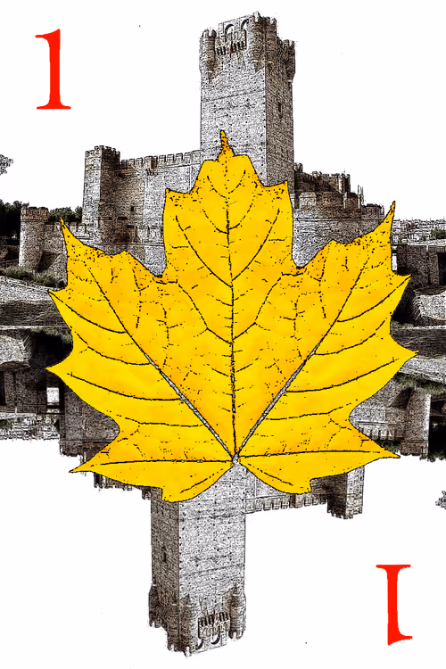 Item #725871994361601053273897083725667630871827410788579972353670387800735744001 Media