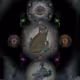 78464554420107649956953518347533873770073782102999568322662088339364323000321