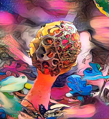 Item #98828088198769885069129805652987605738903563667474416042030428813717795766273 Media