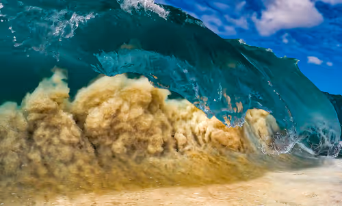 Item #19717472655541438358875111876949792254809295352552867053113992317428173897729 Media