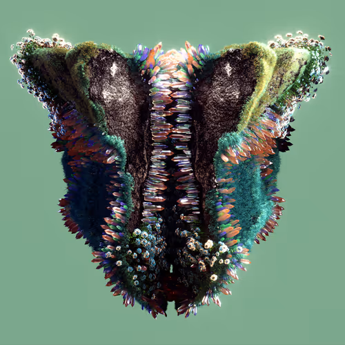 Item #29025029791859050124720480462956340608557292548544538512690378028105953443841 Media