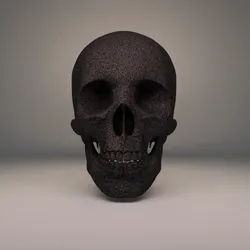 Skull #3