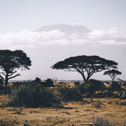 South Africa Safari