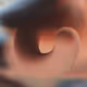 Goro'sWorm