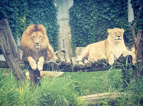 Item #16618738114346914127219060499717801535161246505766705550572350515024970645505 Media