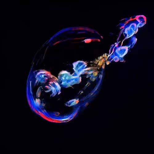 Lifeinbubble 9nMOU4wimF